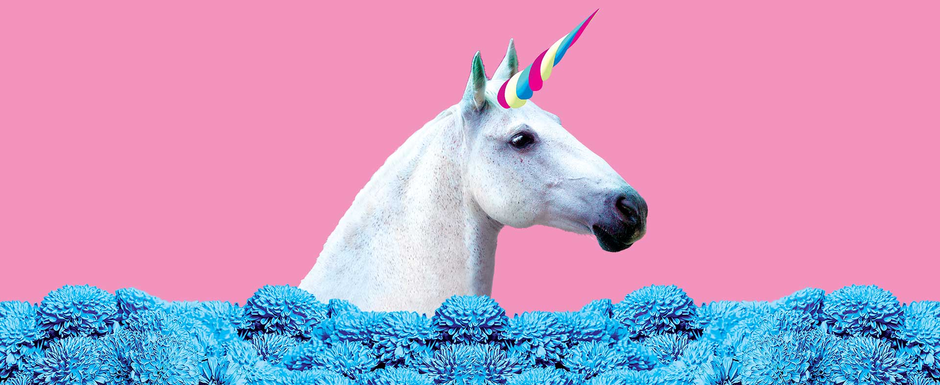 Unicorn with blue flowers