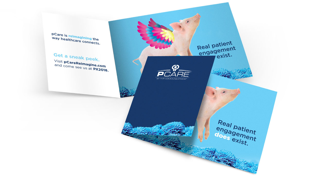 pCare flying pig print brochure