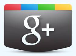 Google Plus Brands