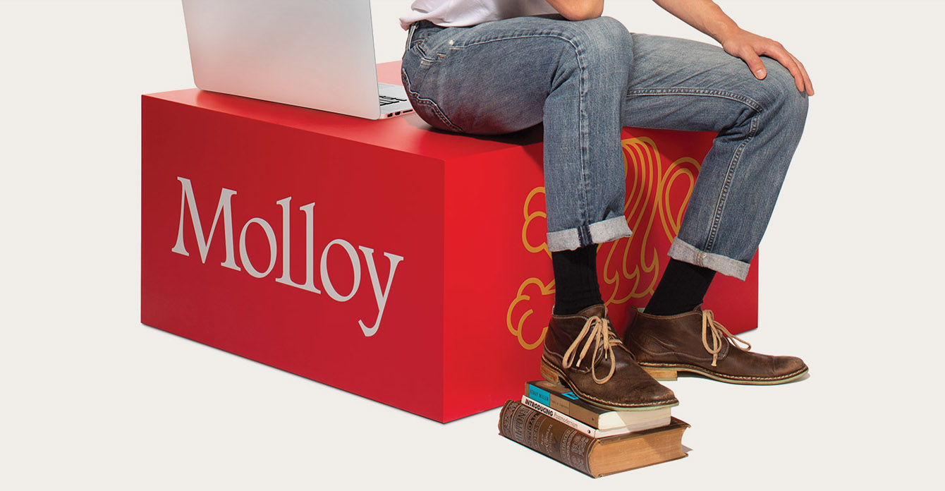 Austin Williams Wins Educational Advertising Awards for Molloy College Campaign